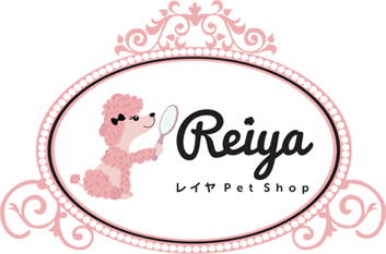 Reiya Petshop